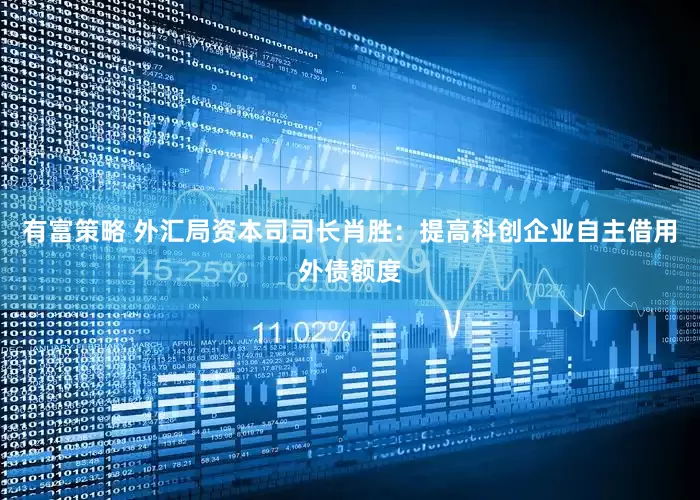 有富策略 外汇局资本司司长肖胜：提高科创企业自主借用外债额度