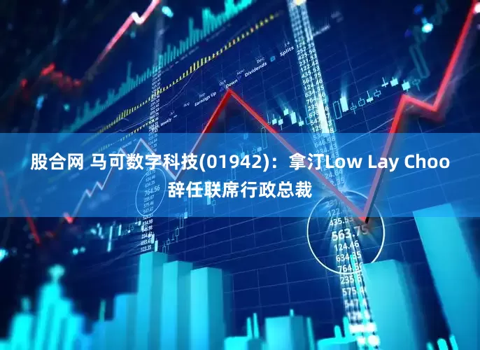 股合网 马可数字科技(01942)：拿汀Low Lay Choo辞任联席行政总裁