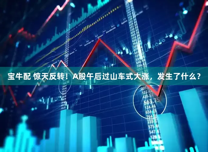 宝牛配 惊天反转！A股午后过山车式大涨，发生了什么？