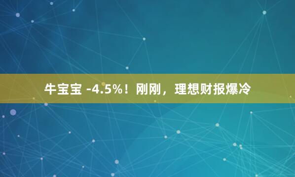 牛宝宝 -4.5%！刚刚，理想财报爆冷