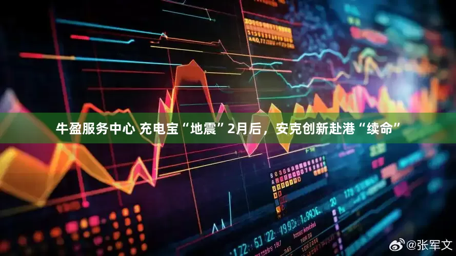 牛盈服务中心 充电宝“地震”2月后，安克创新赴港“续命”