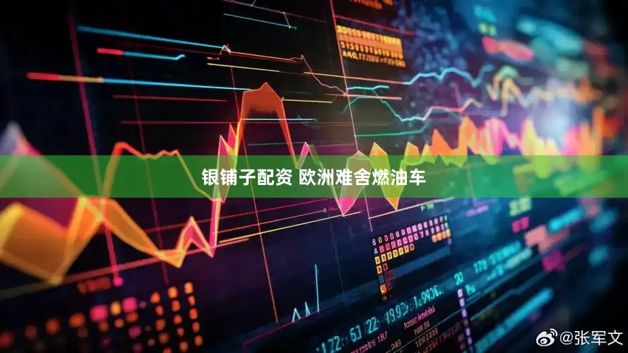 银铺子配资 欧洲难舍燃油车