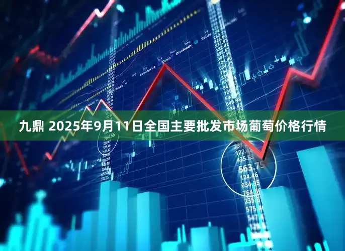 九鼎 2025年9月11日全国主要批发市场葡萄价格行情