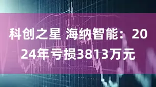 科创之星 海纳智能：2024年亏损3813万元
