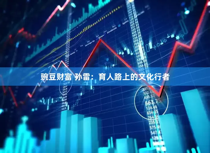 豌豆财富 孙雷：育人路上的文化行者