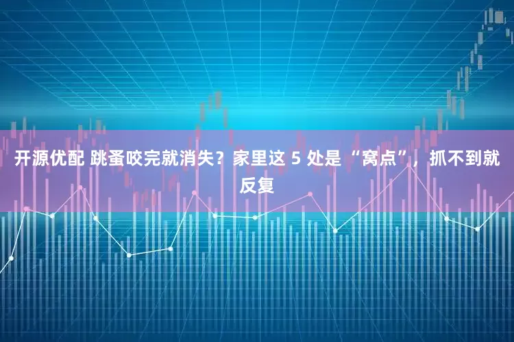 开源优配 跳蚤咬完就消失？家里这 5 处是 “窝点”，抓不到就反复