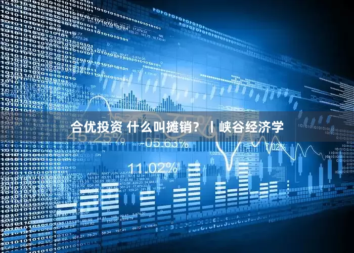 合优投资 什么叫摊销？丨峡谷经济学