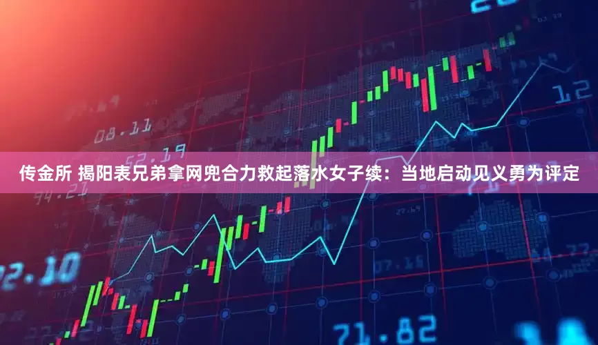 传金所 揭阳表兄弟拿网兜合力救起落水女子续：当地启动见义勇为评定