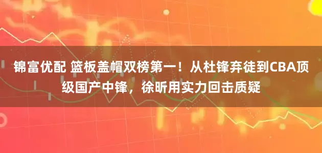 锦富优配 篮板盖帽双榜第一！从杜锋弃徒到CBA顶级国产中锋，徐昕用实力回击质疑